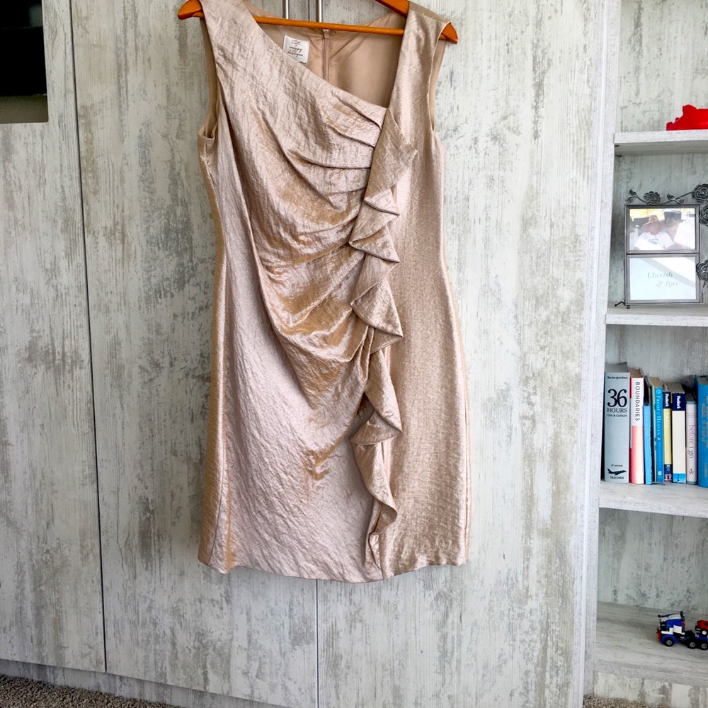 Suzi Chen Dress